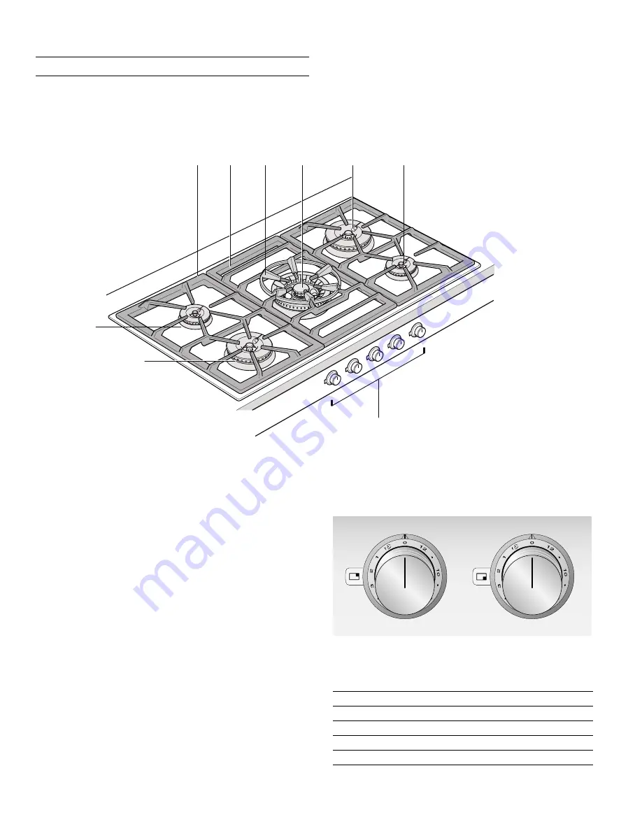 Gaggenau VG491211CA Use And Care Manual Download Page 12