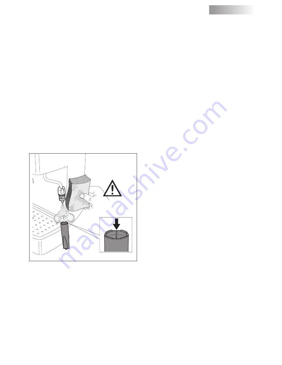 Gaggia 10001695 User Manual Download Page 41