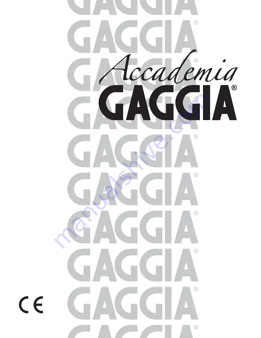 Gaggia Academia Скачать руководство пользователя страница 1