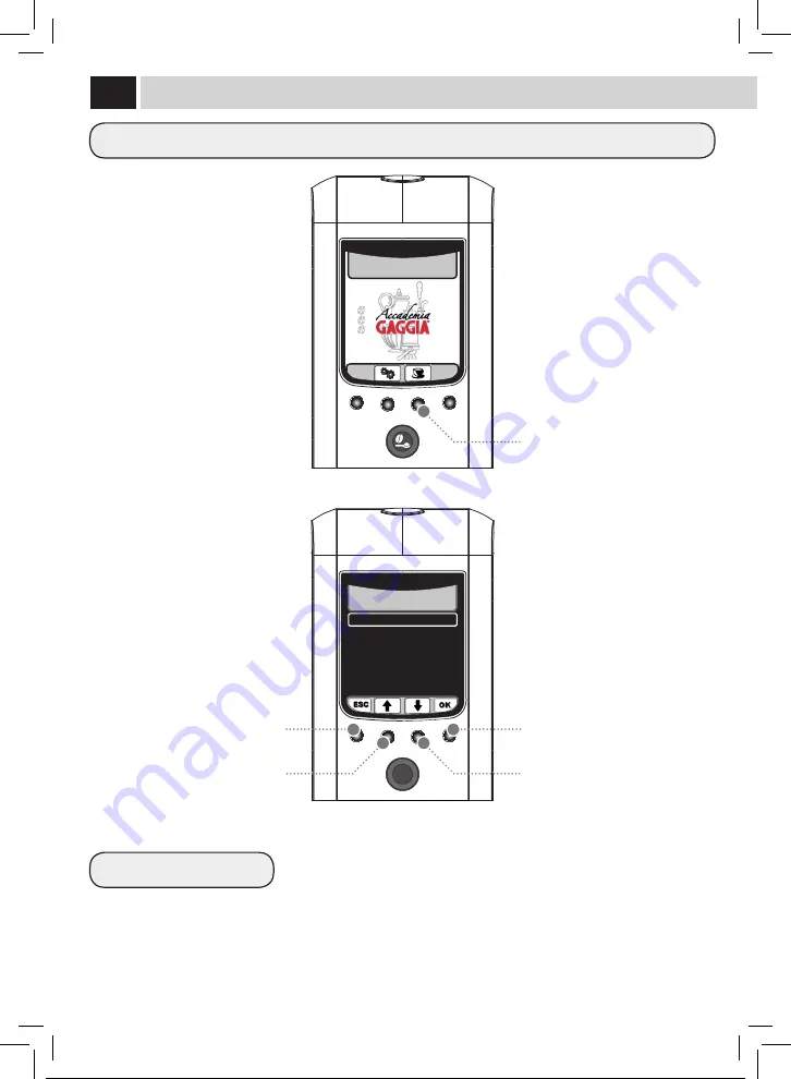 Gaggia RI9702/01 Manual Download Page 31