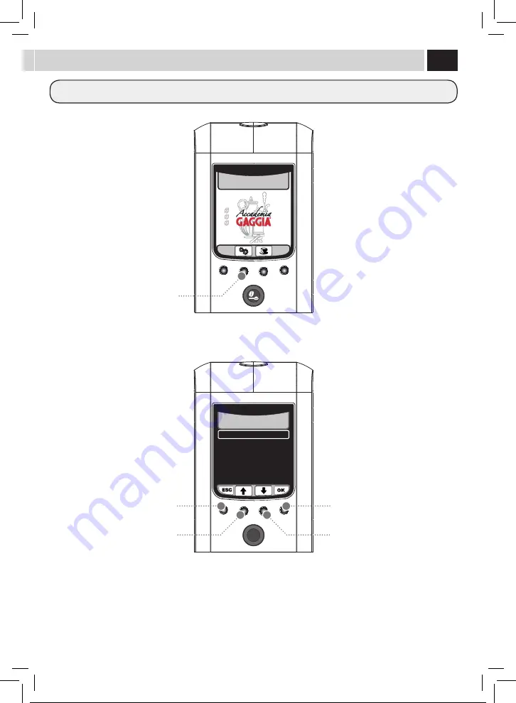 Gaggia RI9702/01 Скачать руководство пользователя страница 82