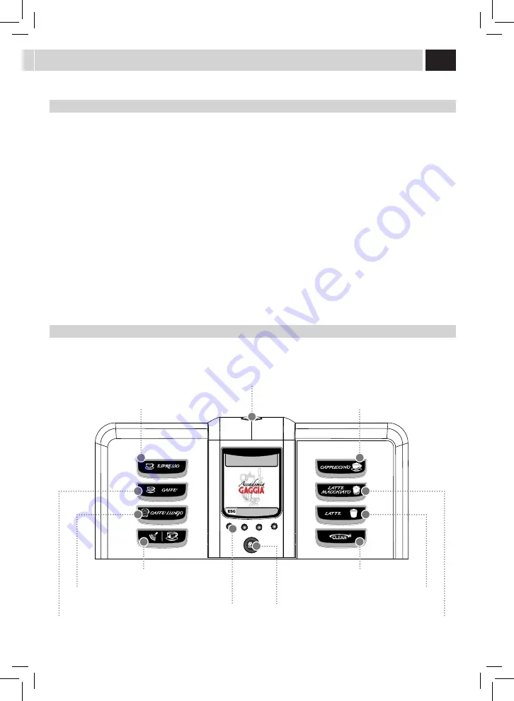 Gaggia RI9702/02 Скачать руководство пользователя страница 61