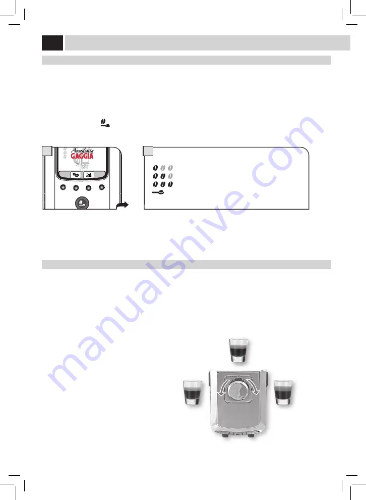 Gaggia RI9702/02 Скачать руководство пользователя страница 66