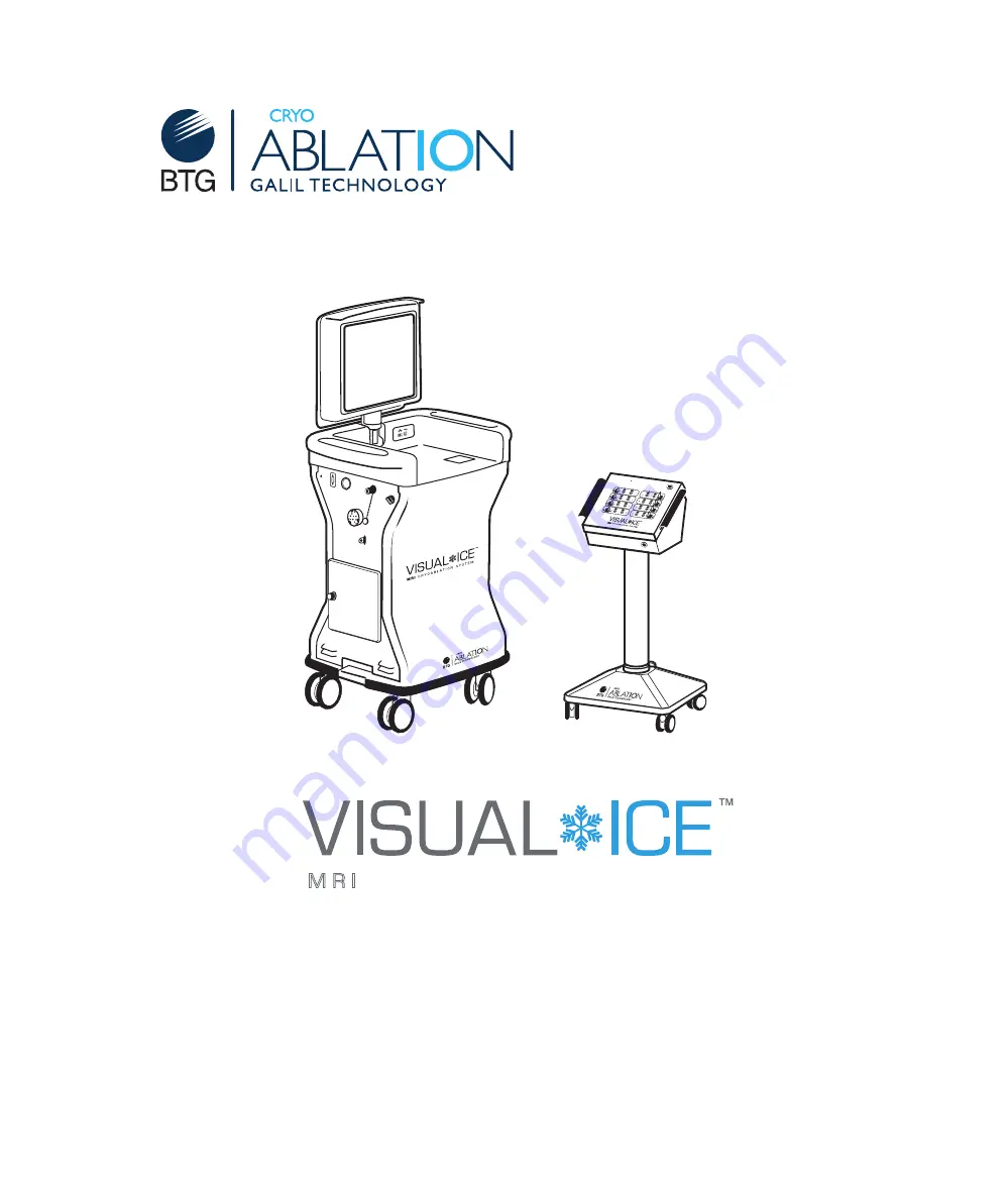 Galil Visual-ICE MRI Скачать руководство пользователя страница 1