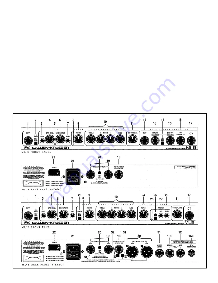 Gallien-Krueger Micro Lead series Скачать руководство пользователя страница 2