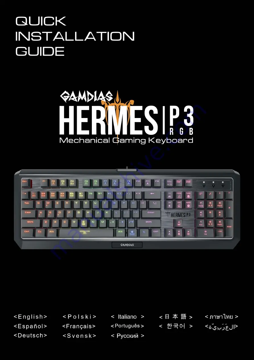 GAMDIAS HERMES P3 Quick Installation Manual Download Page 1