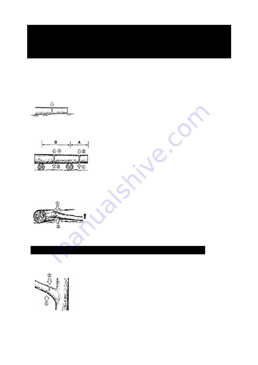 GARDEO PRO GPTRT2630BAG Original Instructions Manual Download Page 65