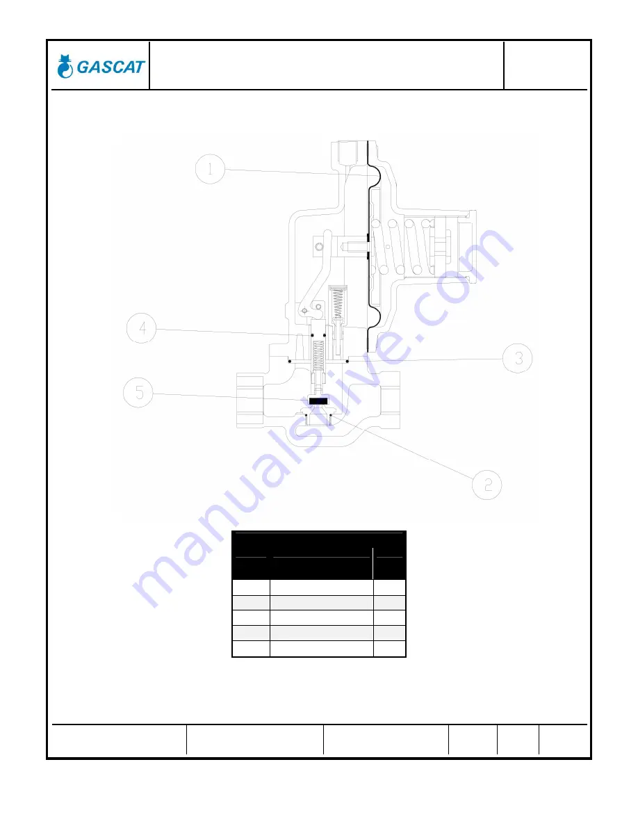 Gascat BRISE PLUS Installation & Operation Manual Download Page 31