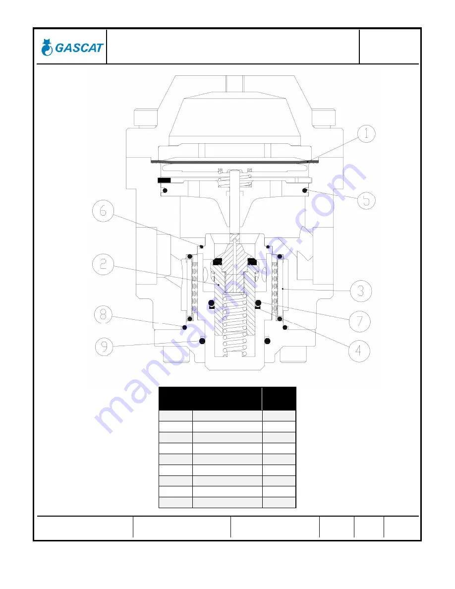 Gascat DOMUS HF Installation & Operation Manual Download Page 18