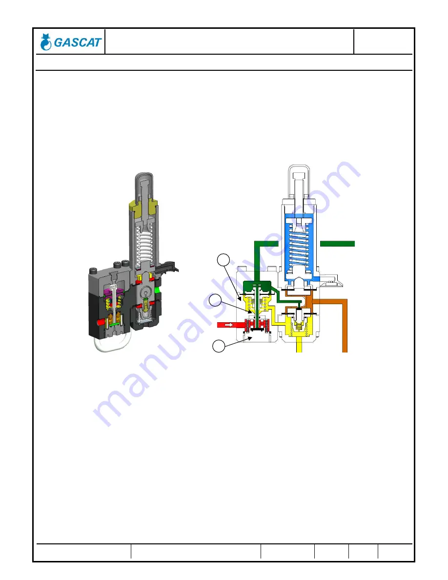 Gascat HORUS Installation Manual Download Page 9