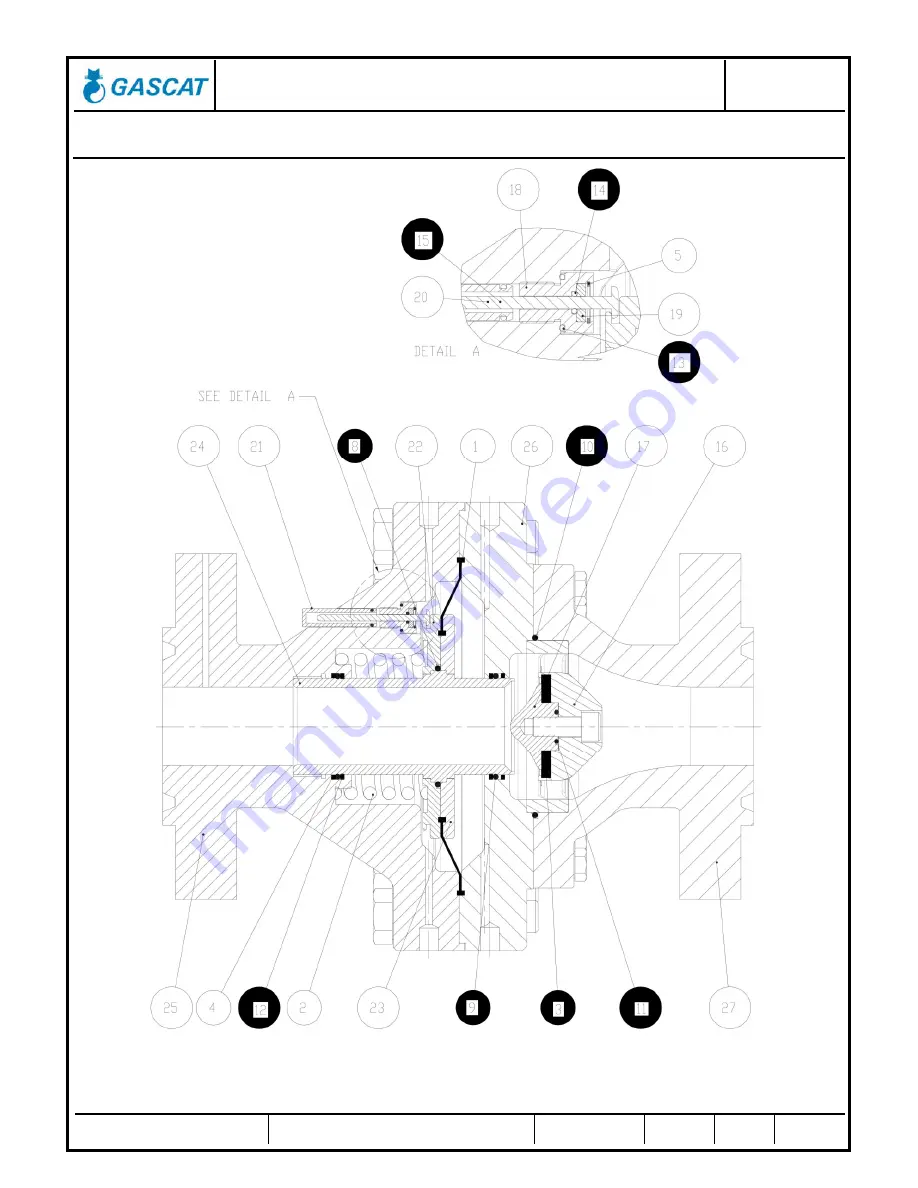 Gascat HORUS Installation Manual Download Page 20