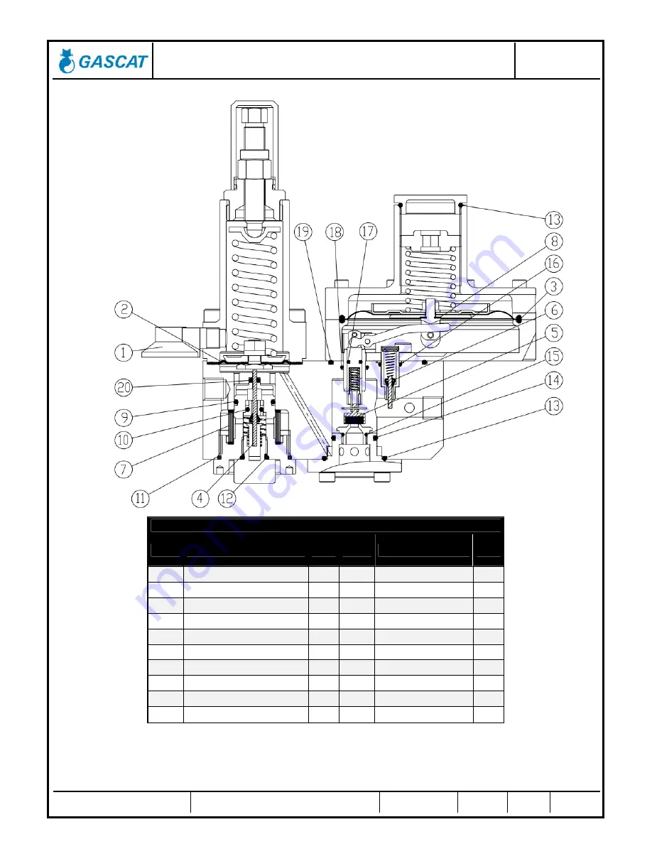 Gascat HORUS Installation Manual Download Page 24