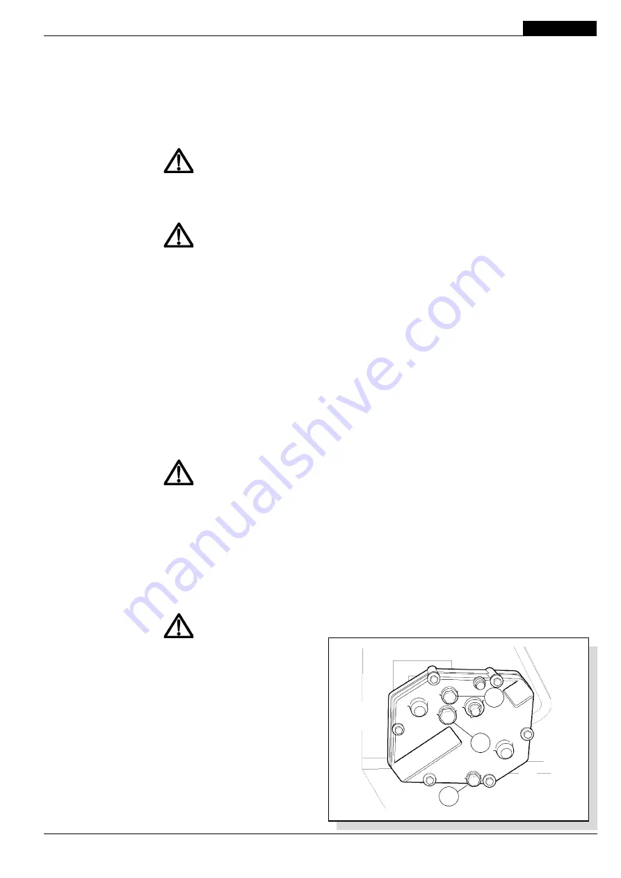 Gaspardo Direttissima 250 Use And Maintenance Download Page 25