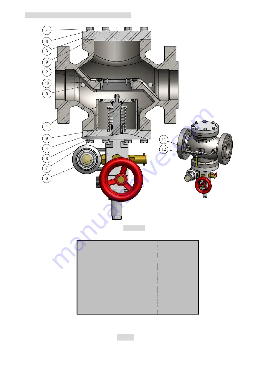 GasTeh 234-BV Safe Use Manual Download Page 18