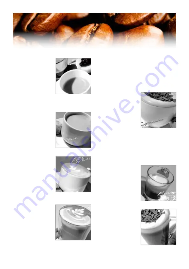 Gastroback Design Espresso Advanced Plus Operating Instructions Manual Download Page 33