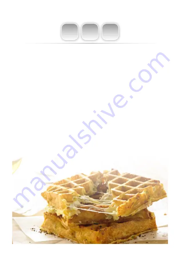 Gastroback DESIGN GOURMET WAFFLEMAKER ADVANCED 4S Скачать руководство пользователя страница 24