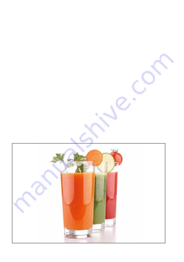 Gastroback Design Juice Manual Download Page 3