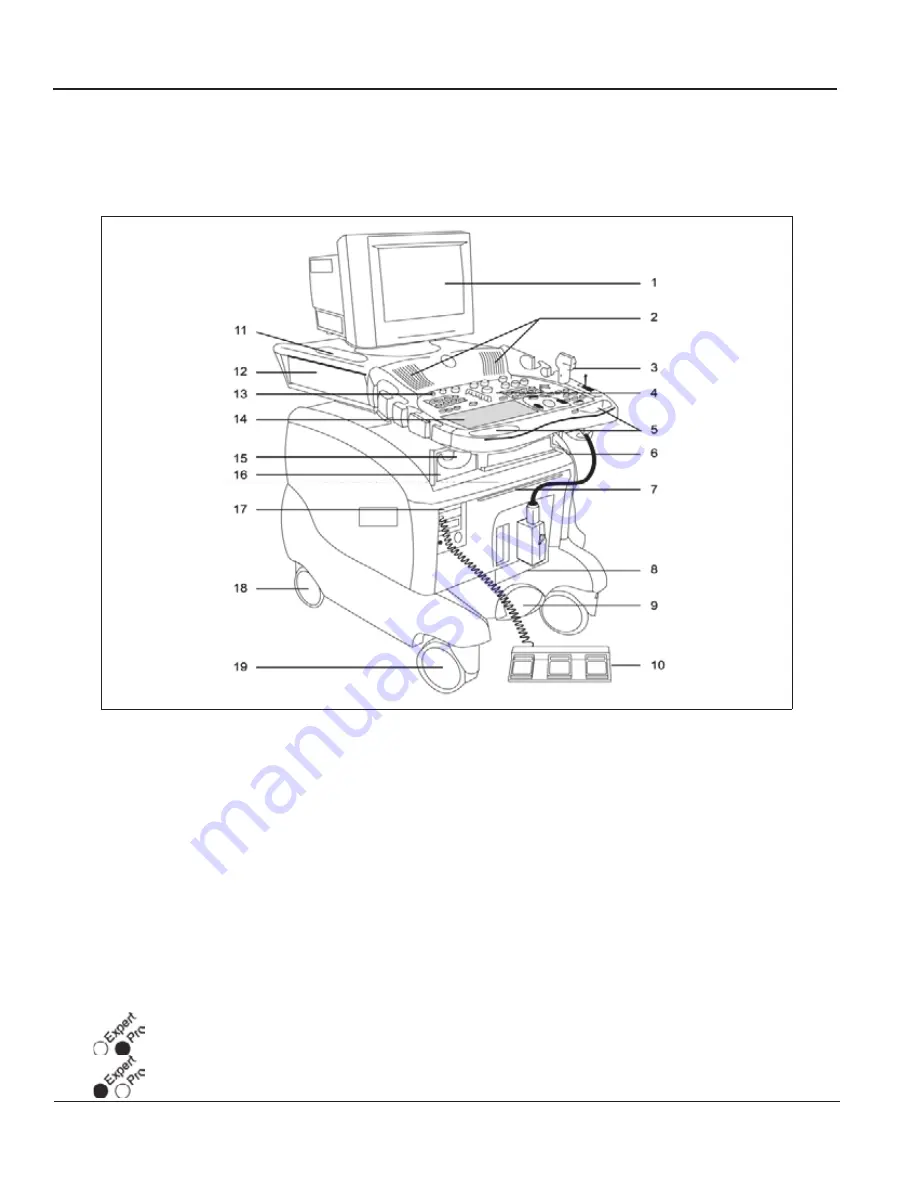 GE Vivid 3 Pro Скачать руководство пользователя страница 79