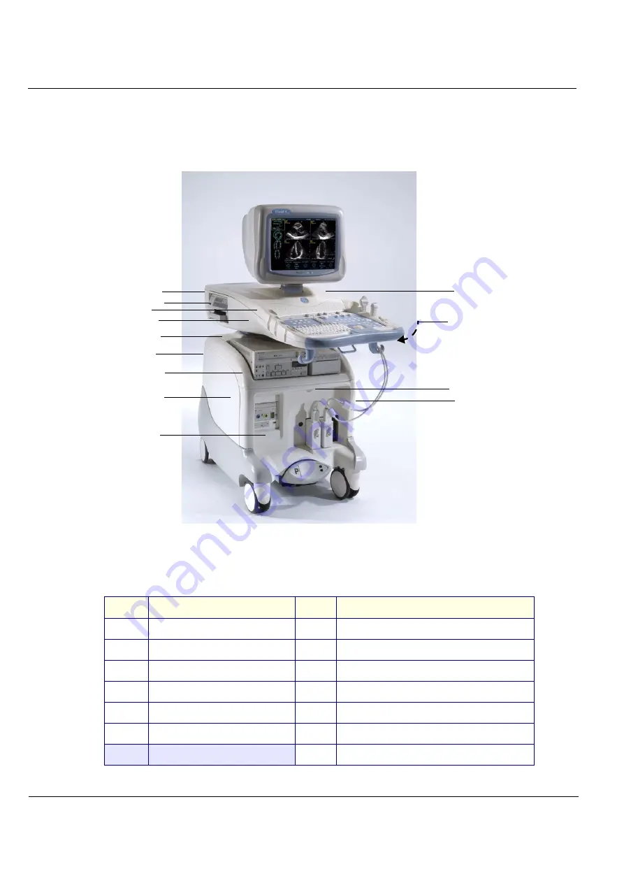 GE Vivid 4 BT03 RFI Скачать руководство пользователя страница 385