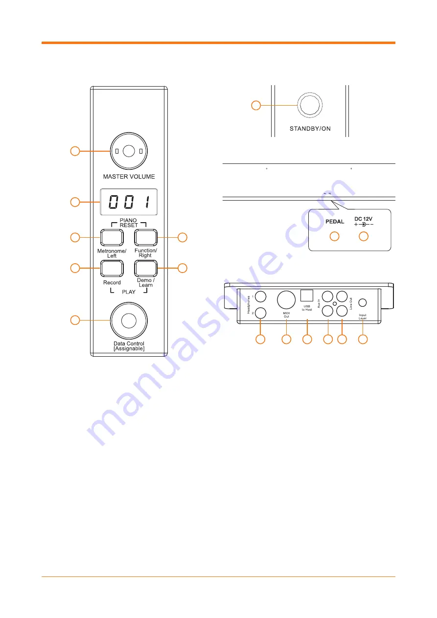 Gear4music DP-10X-GB User Manual Download Page 4