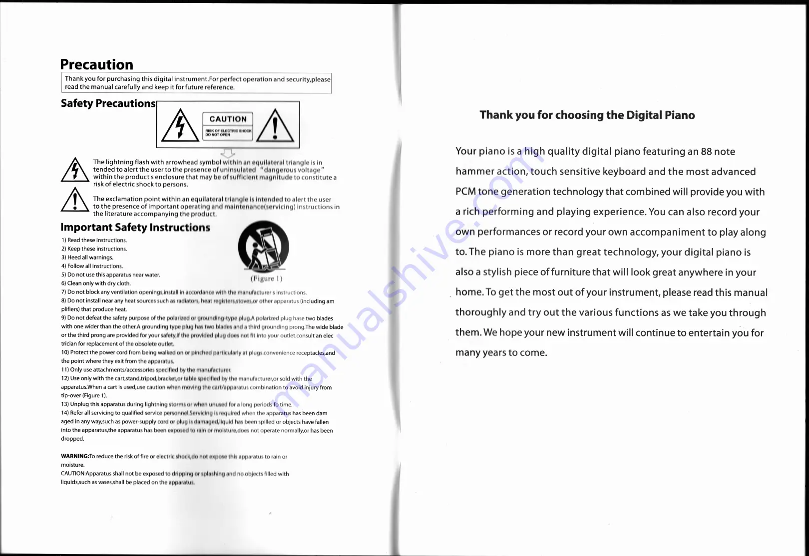 Gear4music DP-10X Owner'S Manual Download Page 3