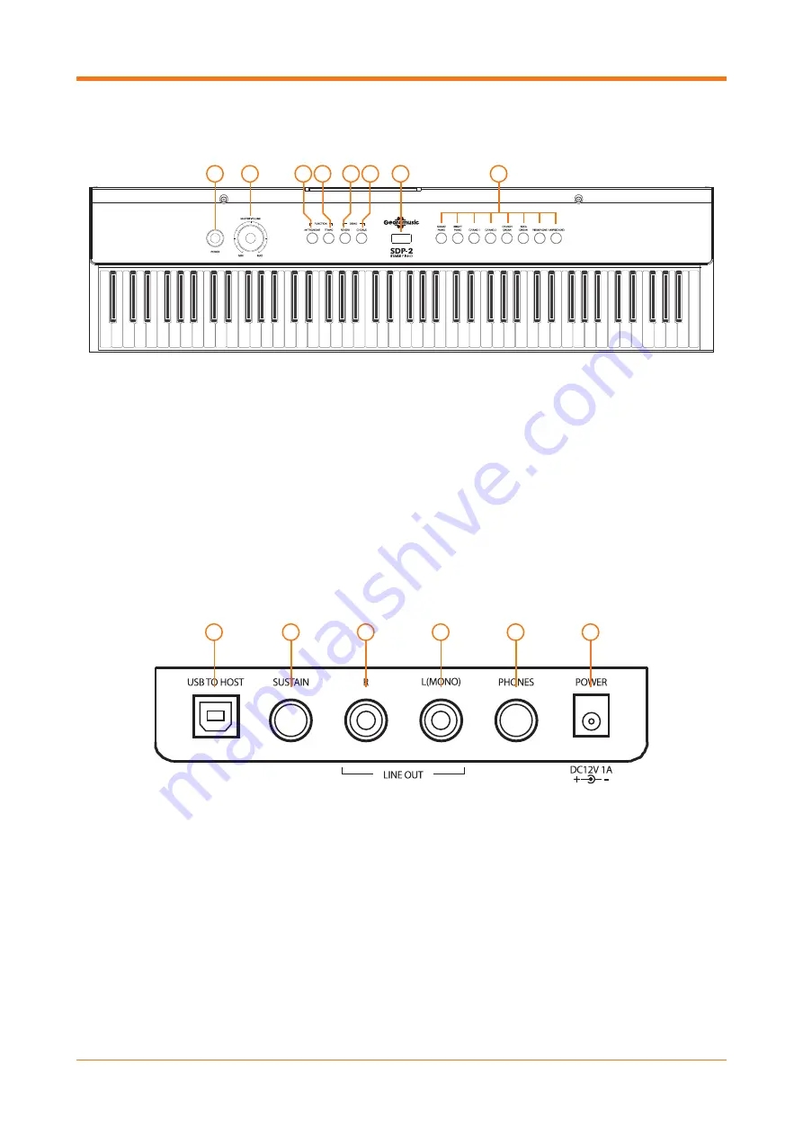 Gear4music SDP-2 Скачать руководство пользователя страница 7