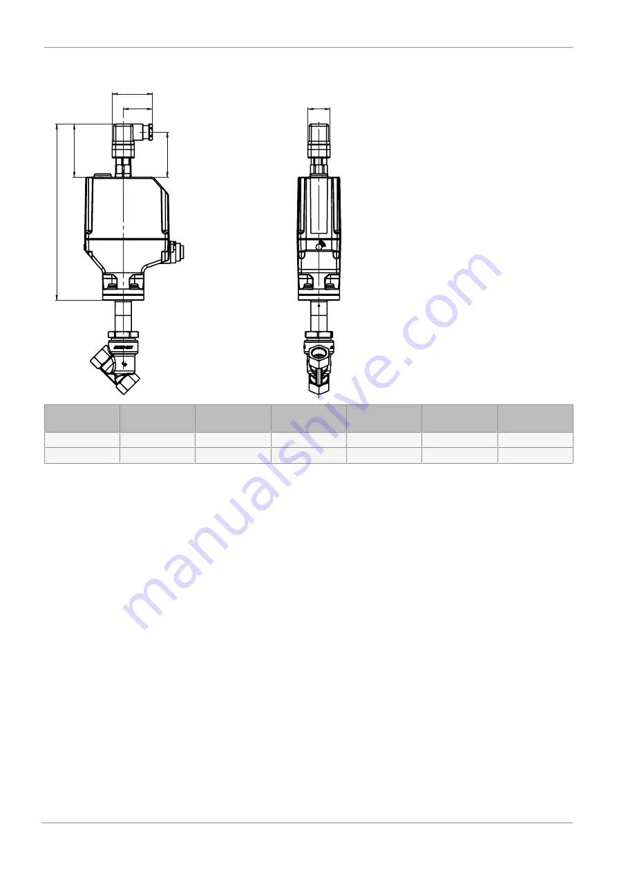 GEM 529 eSyLite Operating Instructions Manual Download Page 15