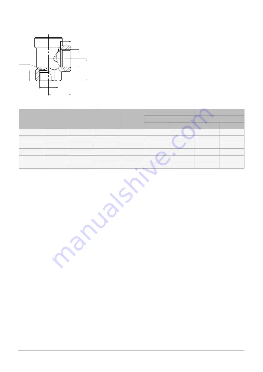 GEM 529 eSyLite Operating Instructions Manual Download Page 21