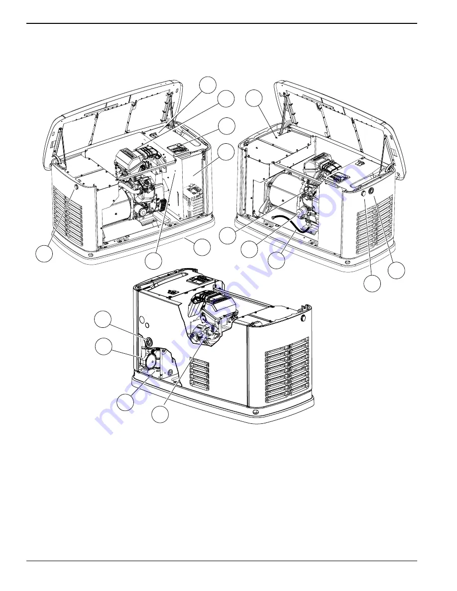 Generac Power Systems 20 kW LP Скачать руководство пользователя страница 10