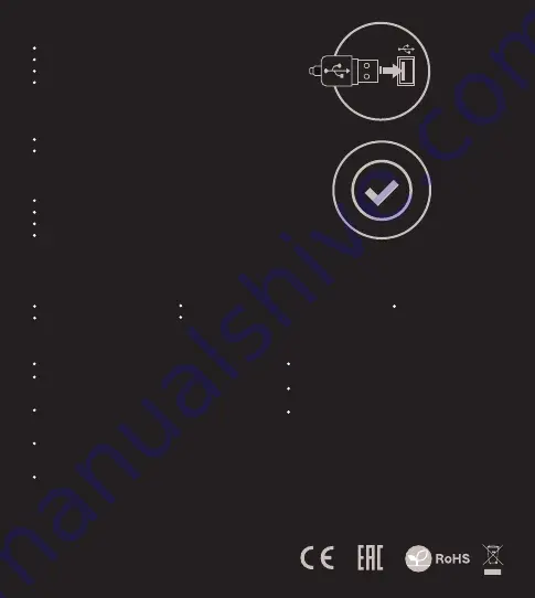 Genesys Rhod 110 Скачать руководство пользователя страница 6