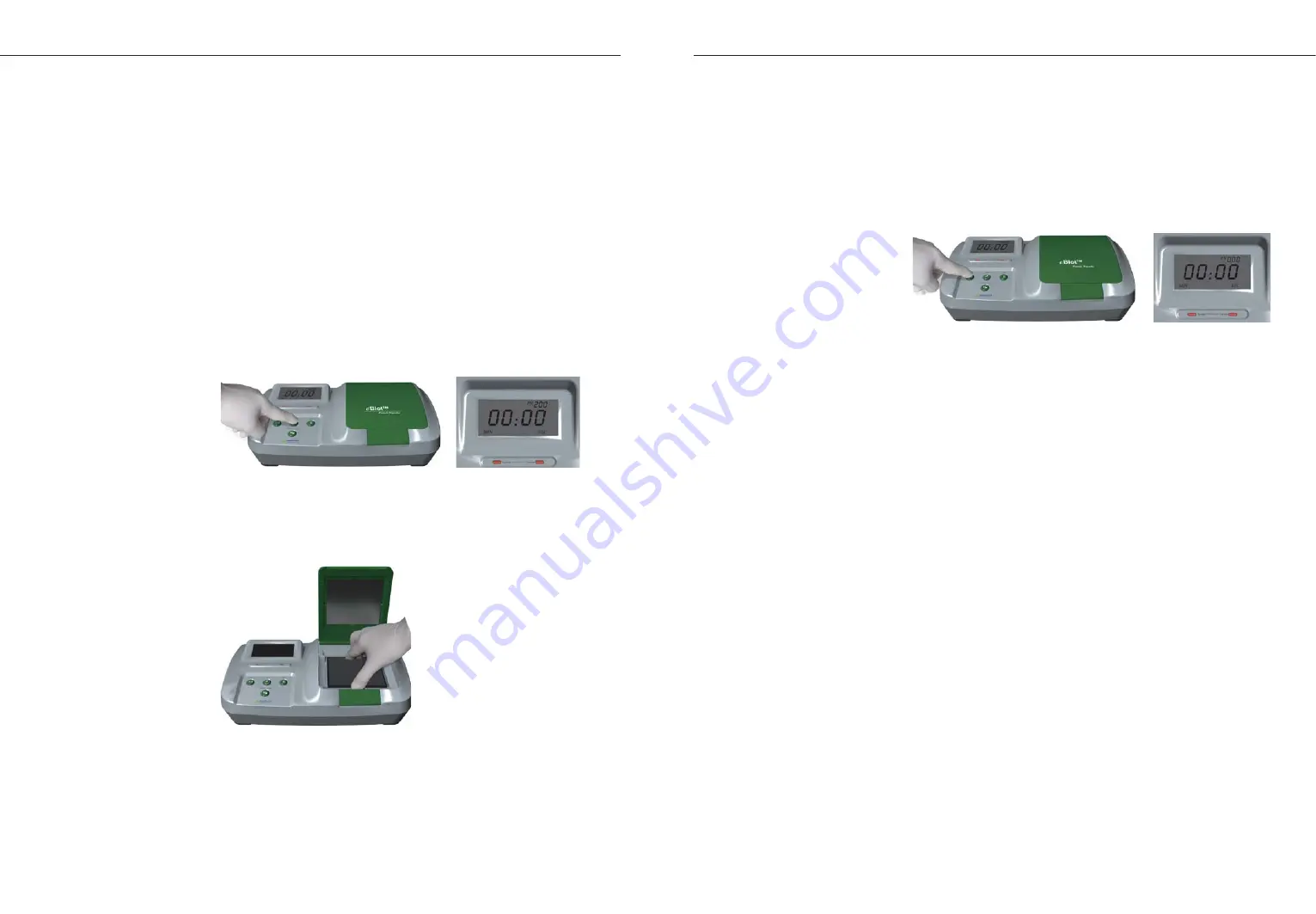 GenScript eBlot User Manual Download Page 12