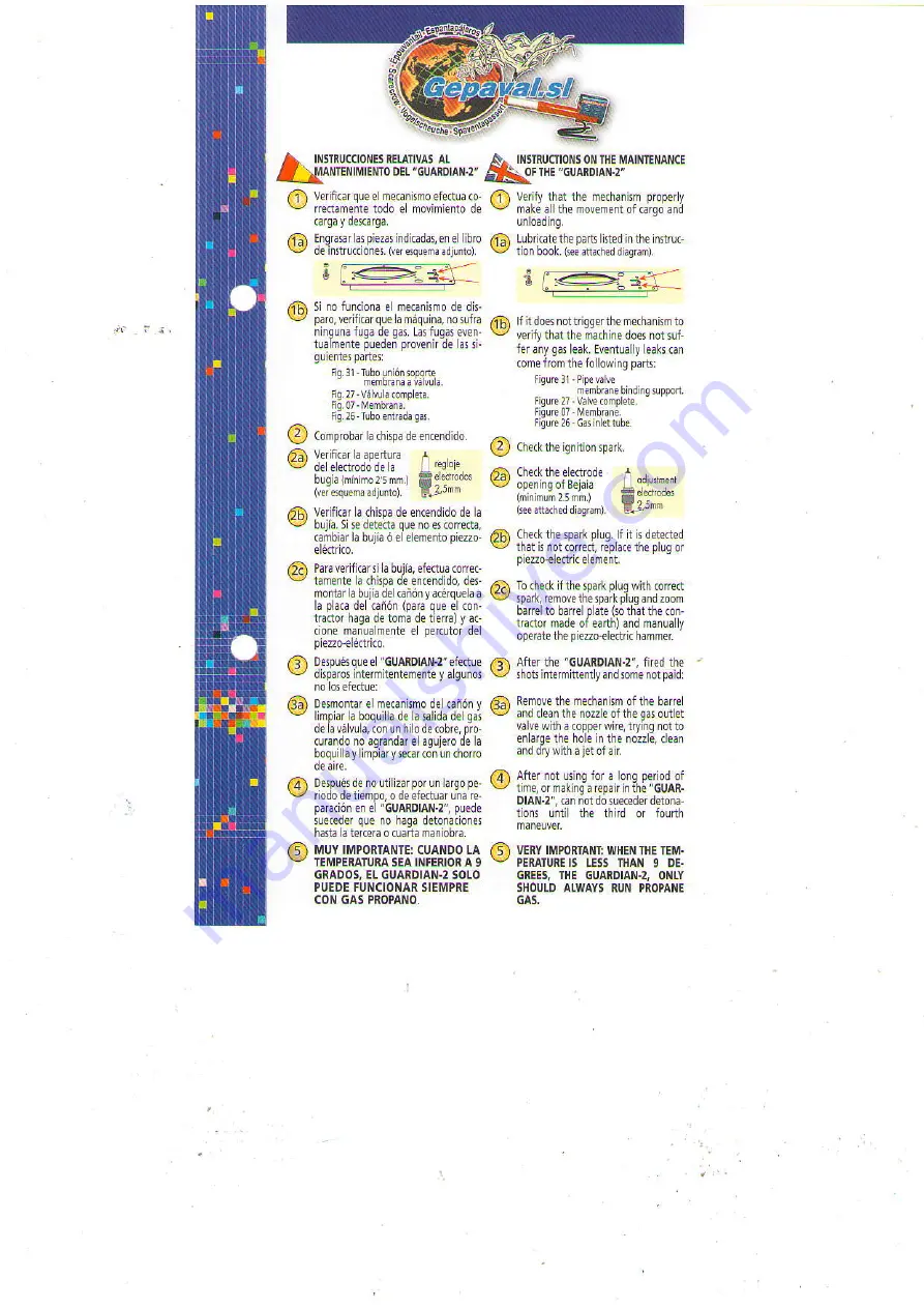 Gepaval GUARDIAN-2 Instructions On The Maintenance Download Page 1