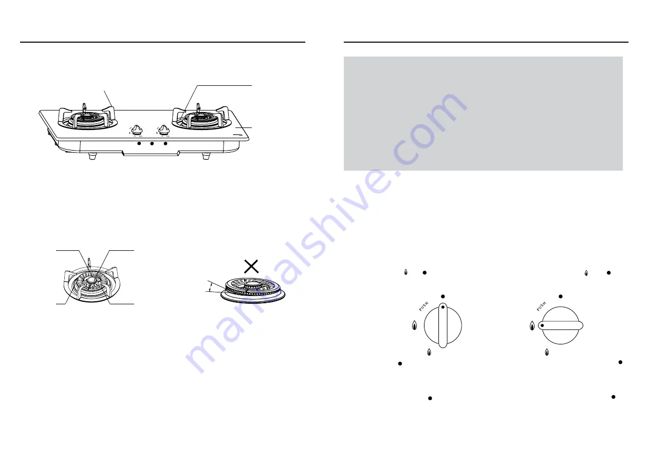 German pool GP12 Series User Manual Download Page 6