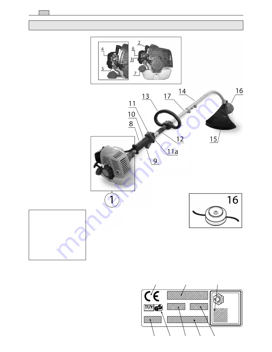 GGP ITALY SPA TR 25J Скачать руководство пользователя страница 6