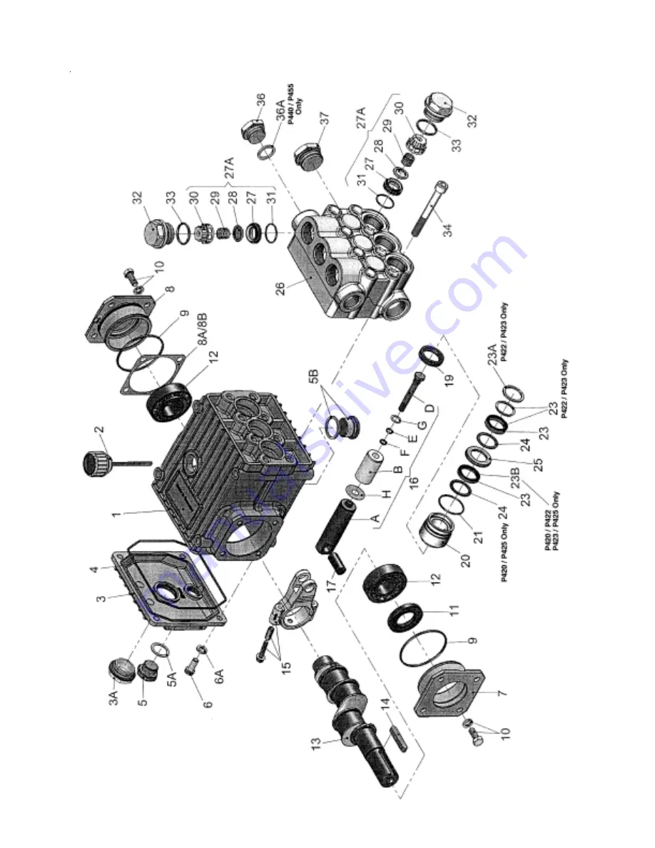 Giant P435B Operating Instructions Manual Download Page 4