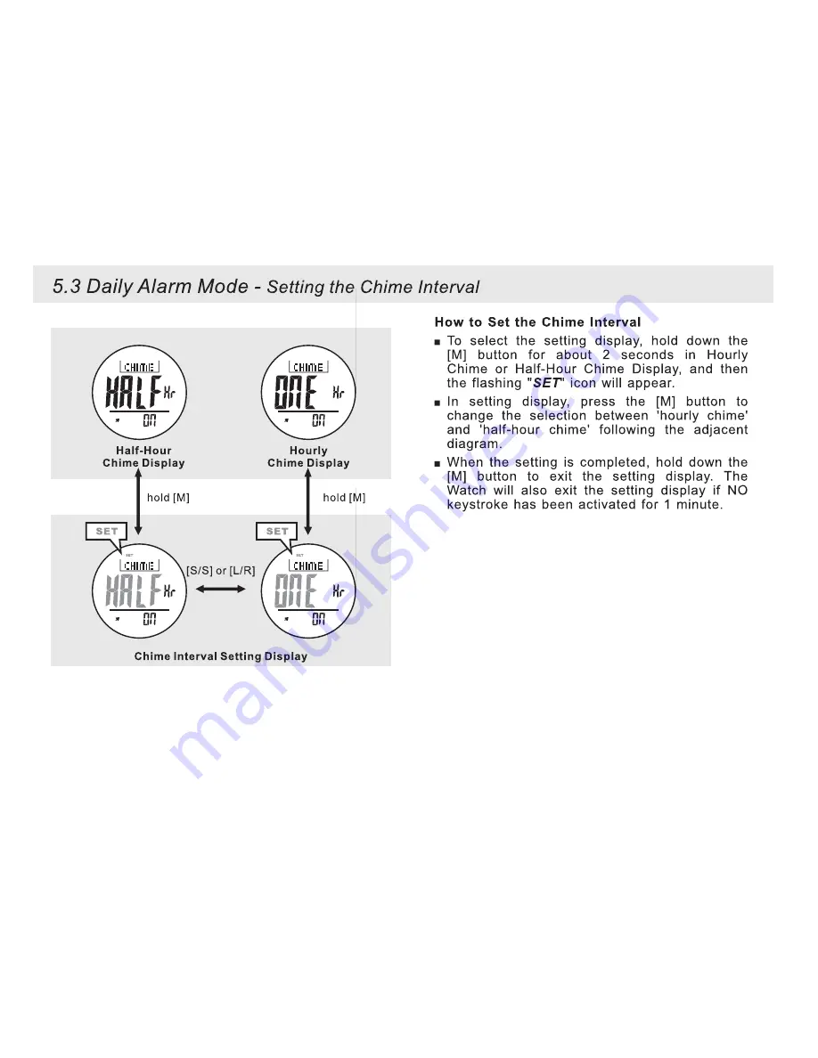 Gill Regatta Master Watch W009 Instructions For Use Manual Download Page 10