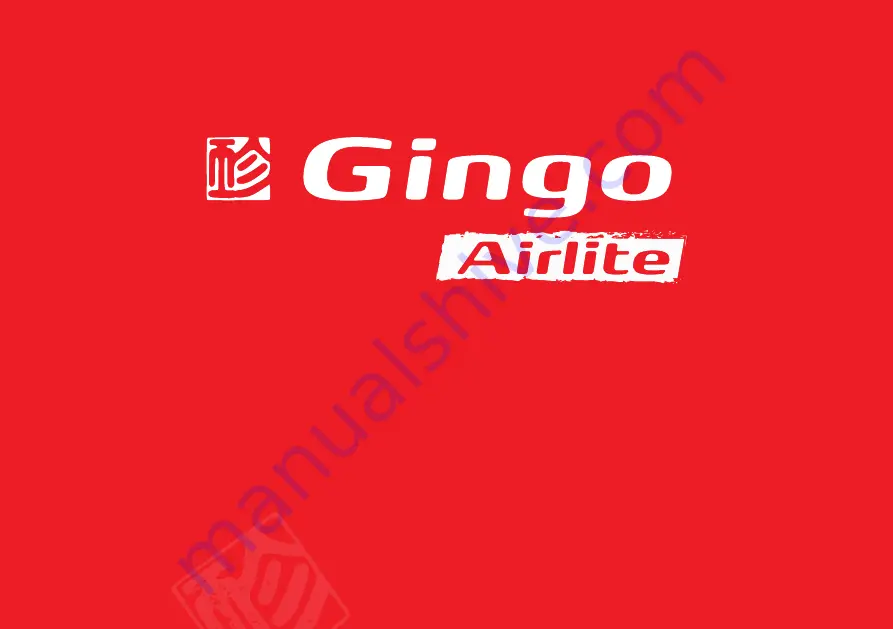 Gin Gliders Gingo Airlite L Скачать руководство пользователя страница 2