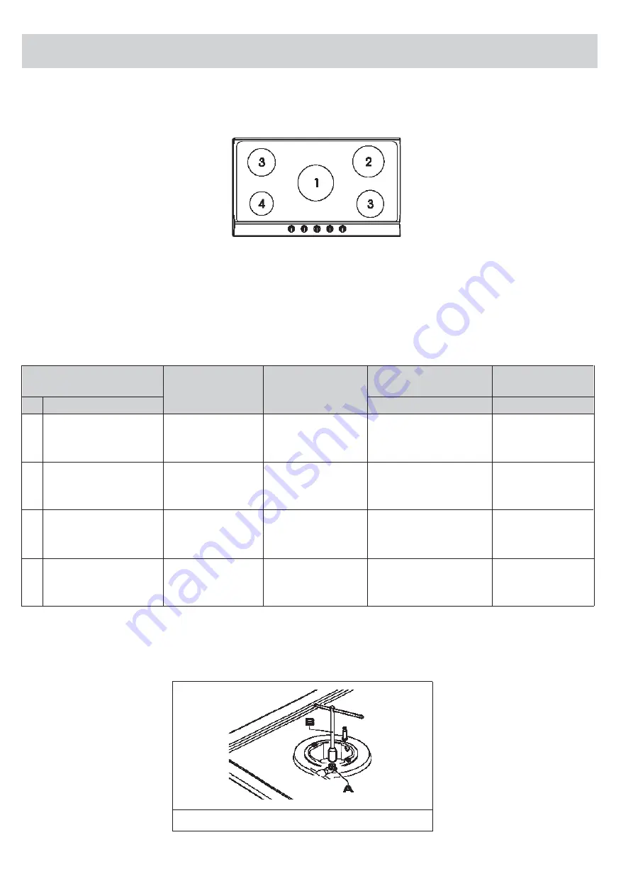 Glen Dimplex 900GC - AU SS Owner'S Manual Download Page 14