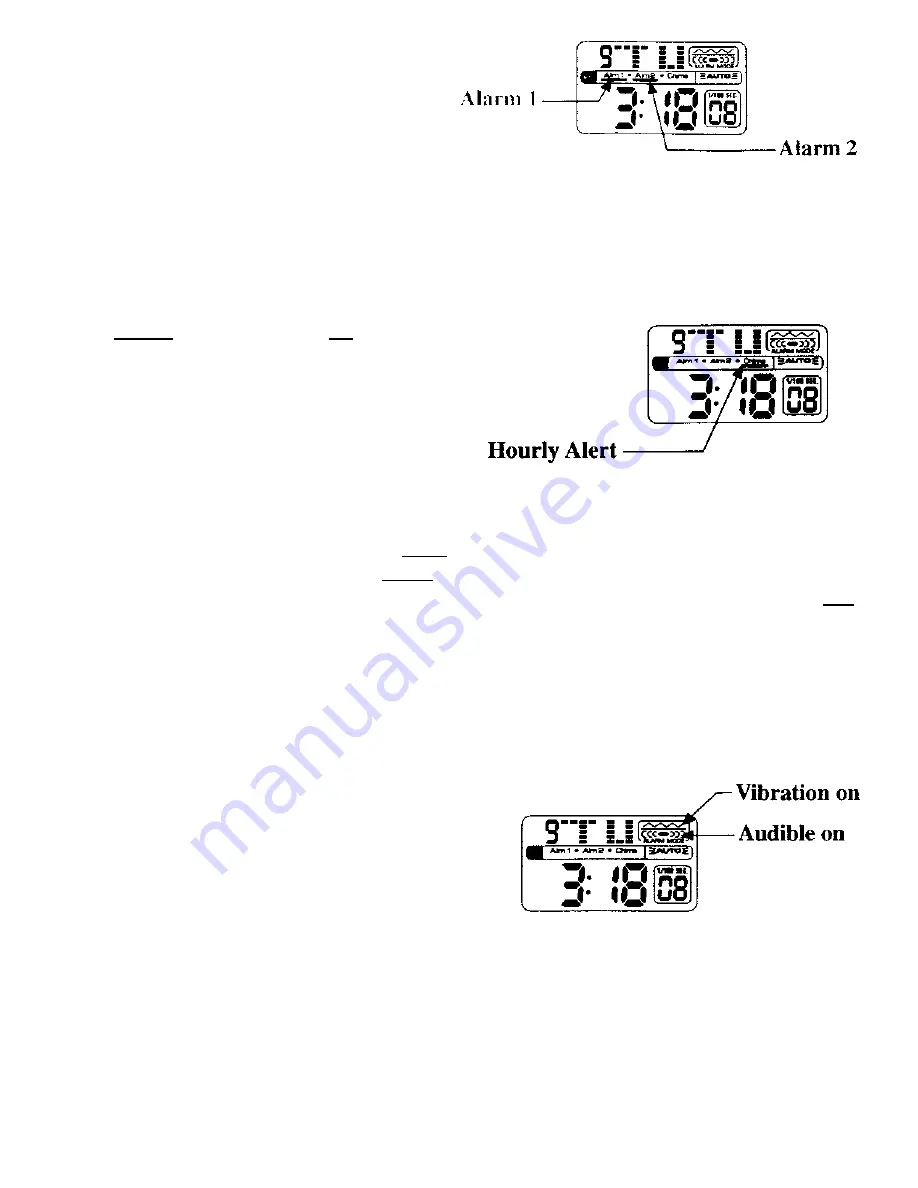 GLOBAL ASSISTIVE DEVICES VibraLITE 3 Instruction Manual Download Page 3