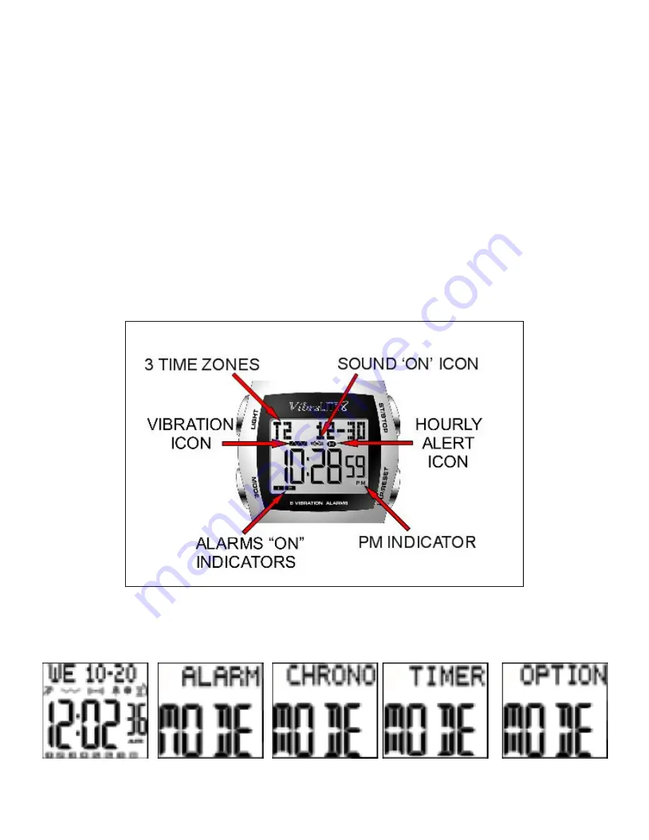 GLOBAL ASSISTIVE DEVICES VibraLITE 8 User Manual Download Page 1