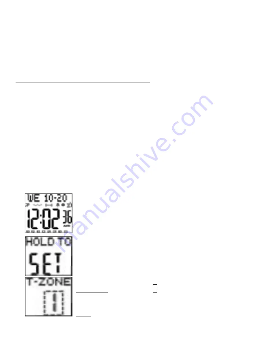 GLOBAL ASSISTIVE DEVICES VibraLITE 8 User Manual Download Page 2