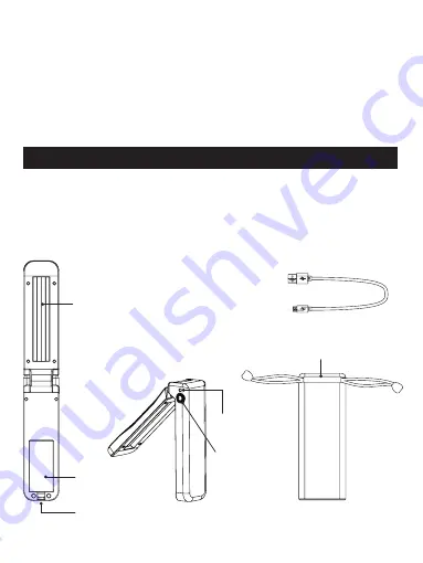 Globe 66461 Скачать руководство пользователя страница 4