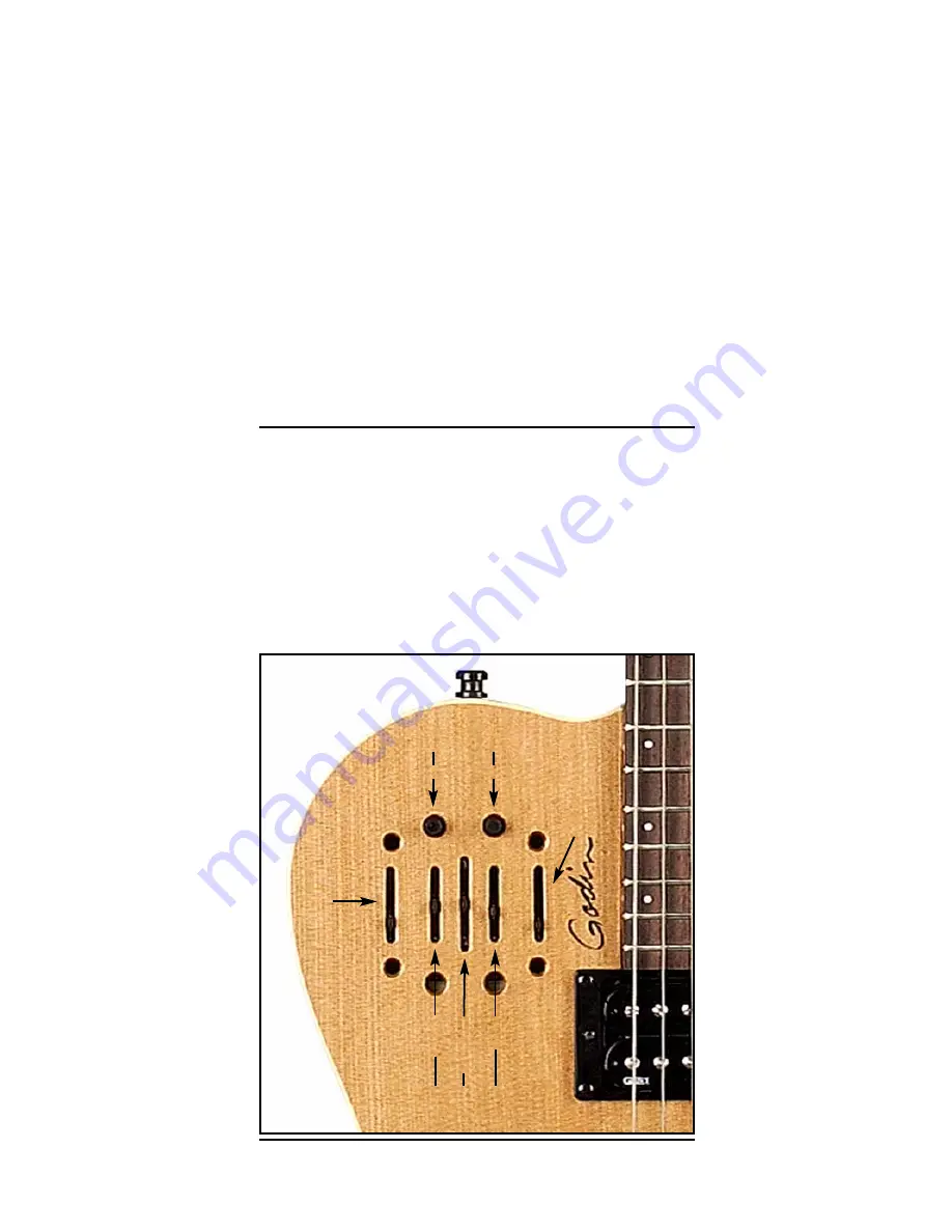 Godin A6 Ultra Specification Download Page 3