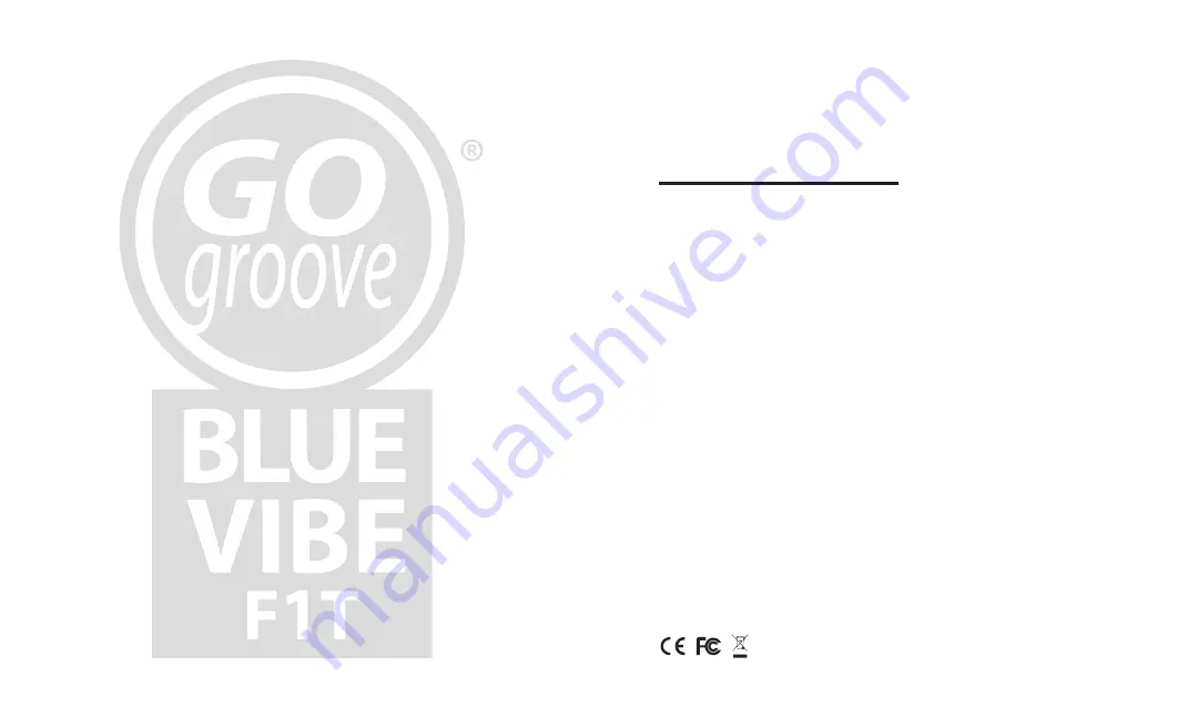 GOgroove BlueVIBE F1T User Manual Download Page 10