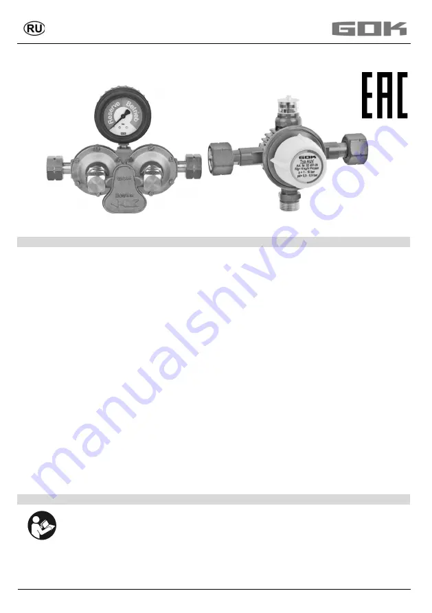 GOK AUV PS 16 bar Скачать руководство пользователя страница 37
