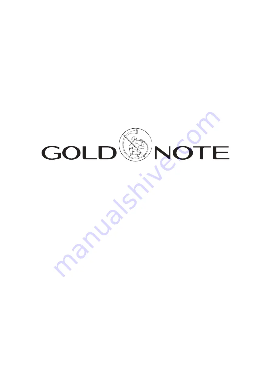 Gold Note XT-7 Скачать руководство пользователя страница 20