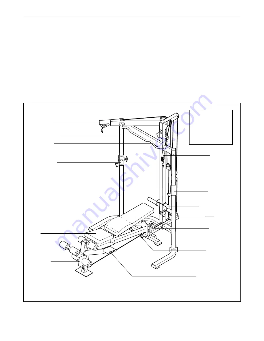 Gold's Gym GGBE29920 User Manual Download Page 4