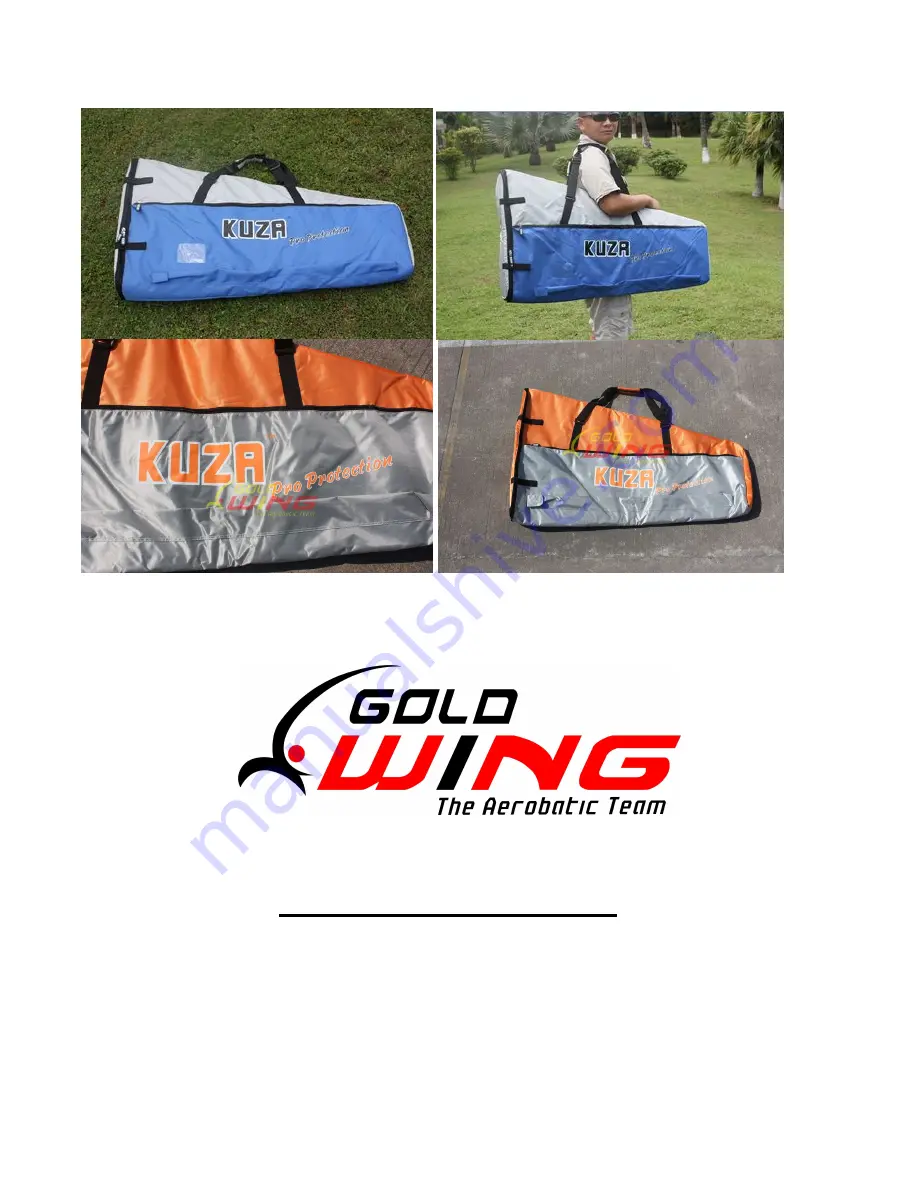 Goldwing RC 9975000007-0 Manual Download Page 38