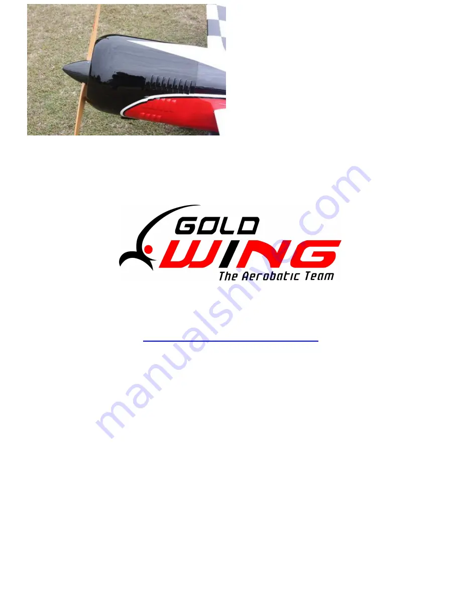 Goldwing RC 9975000025-0 Manual Download Page 59