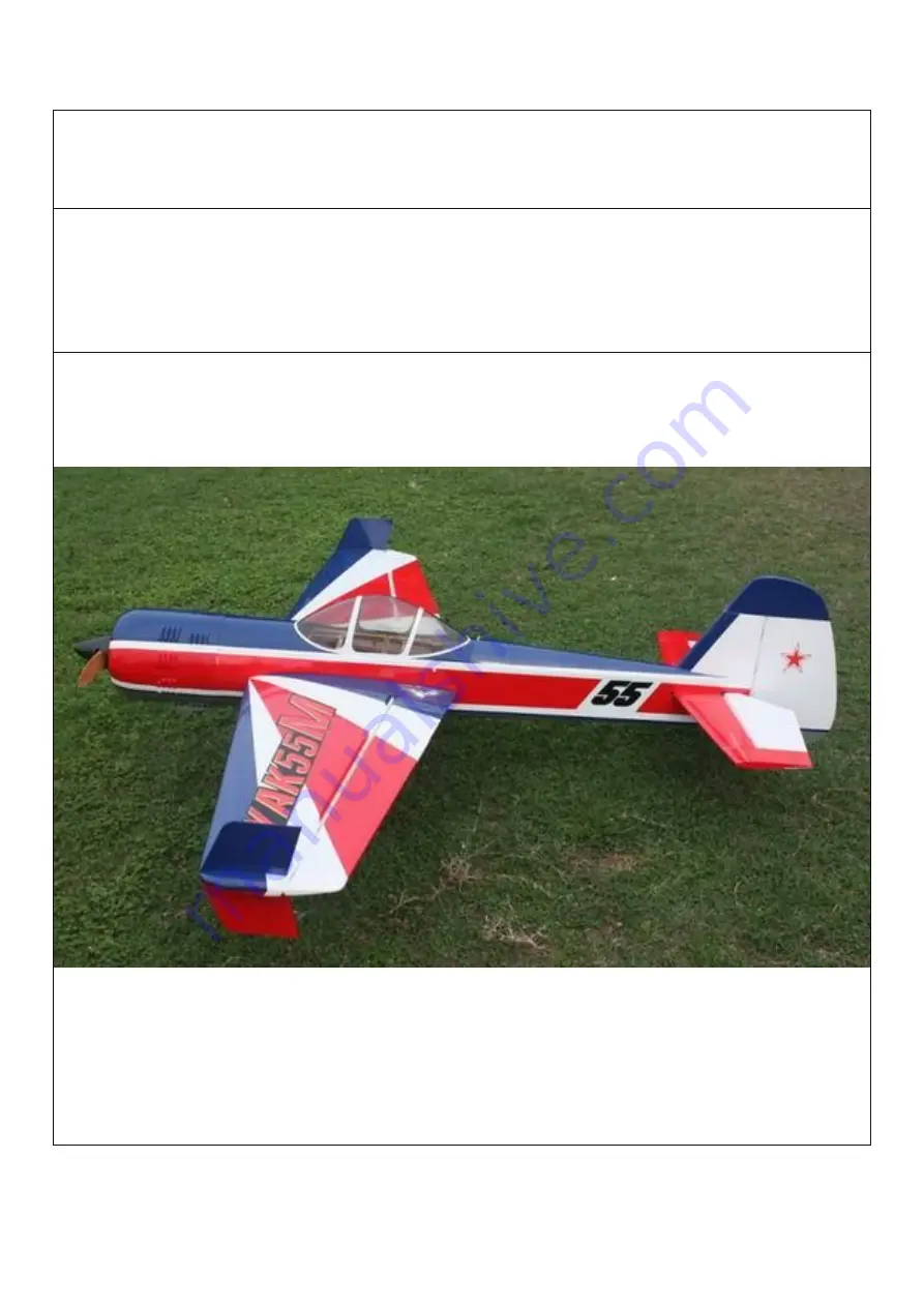 Goldwing RC YAK55M 30CC Manual Download Page 1